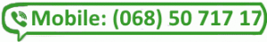 Mobile: +380685071717